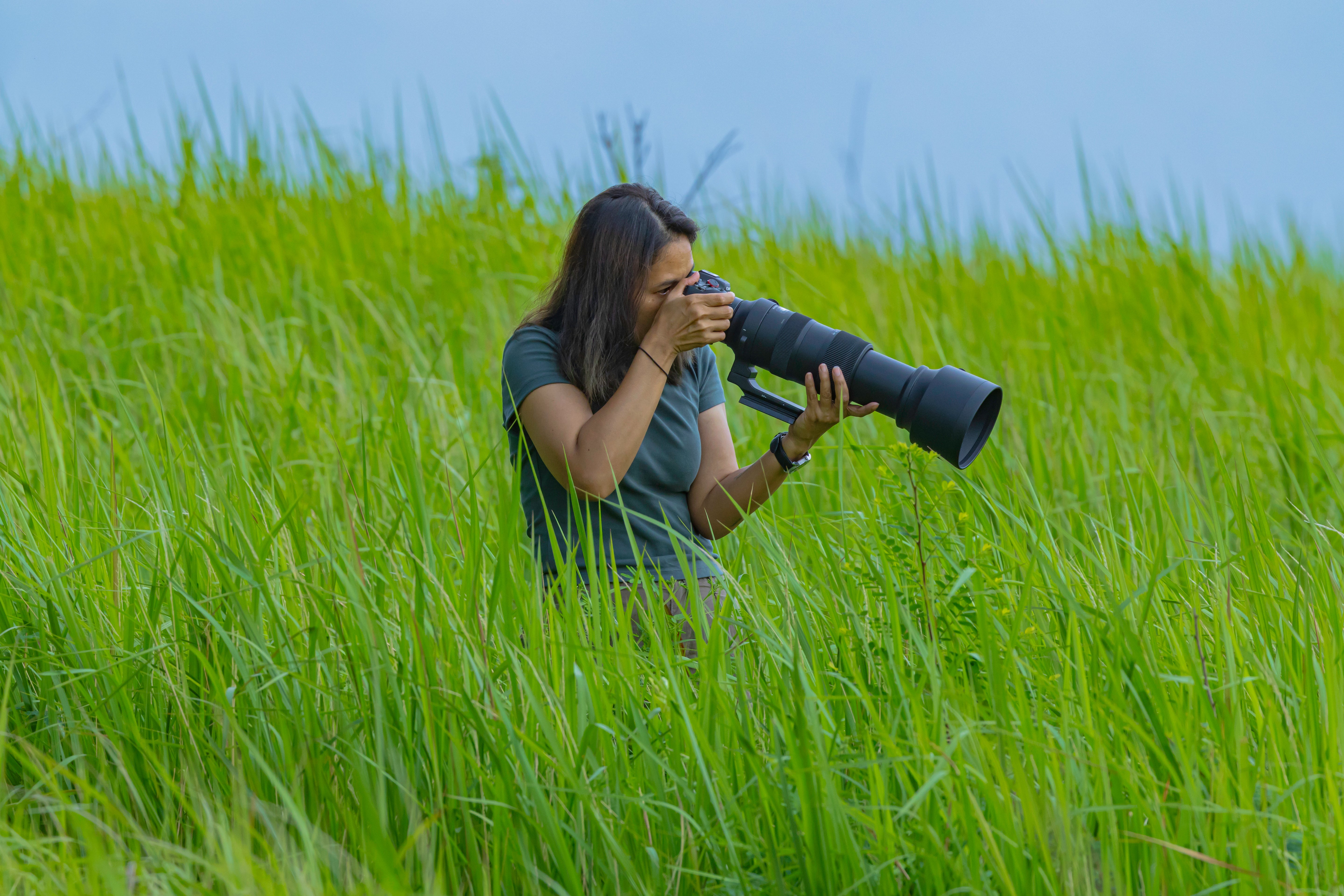 Paquete de fotografía de campo Gratis hoy