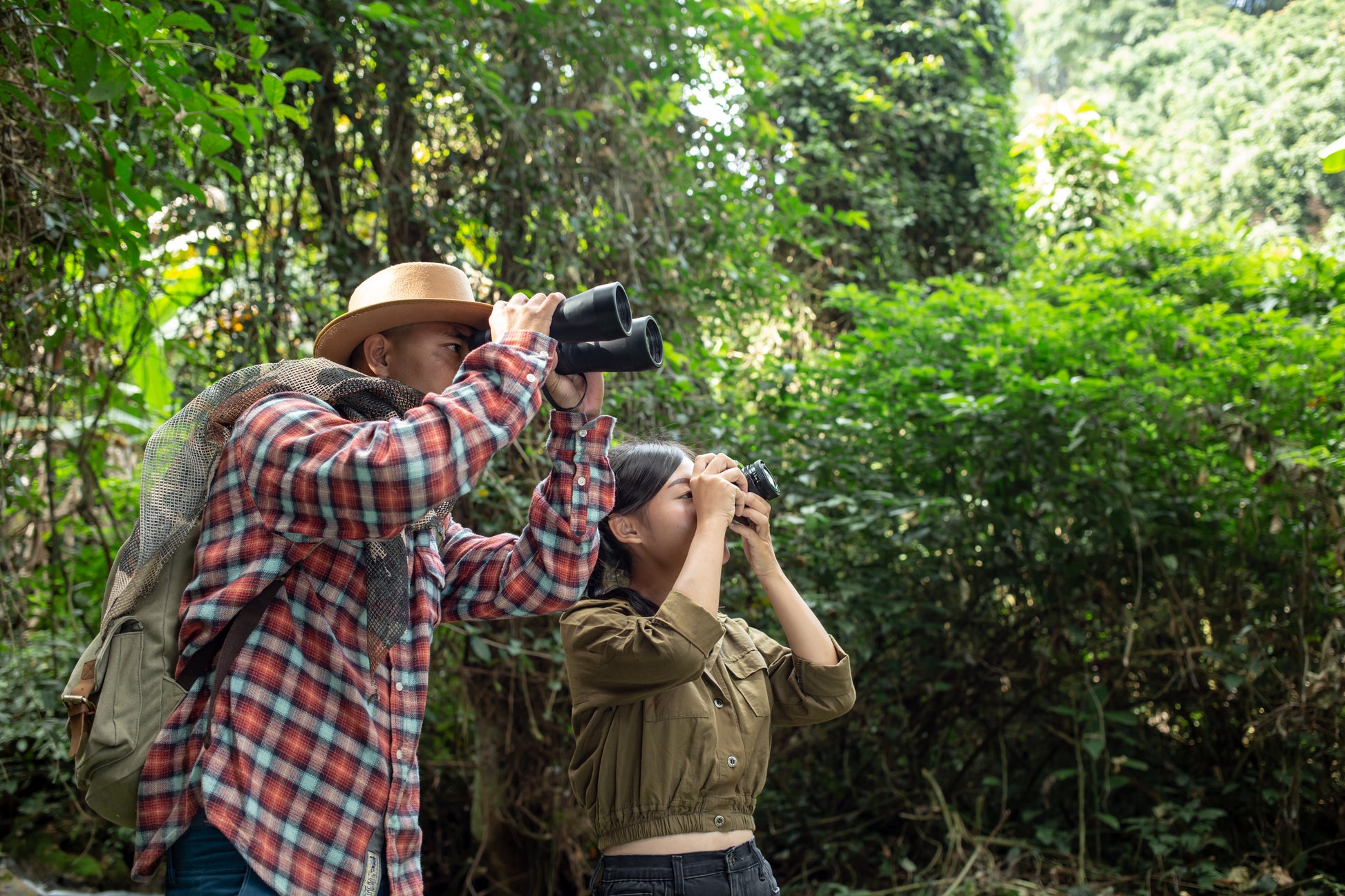 Viaje fotográfico de fauna salvaje Gratis 