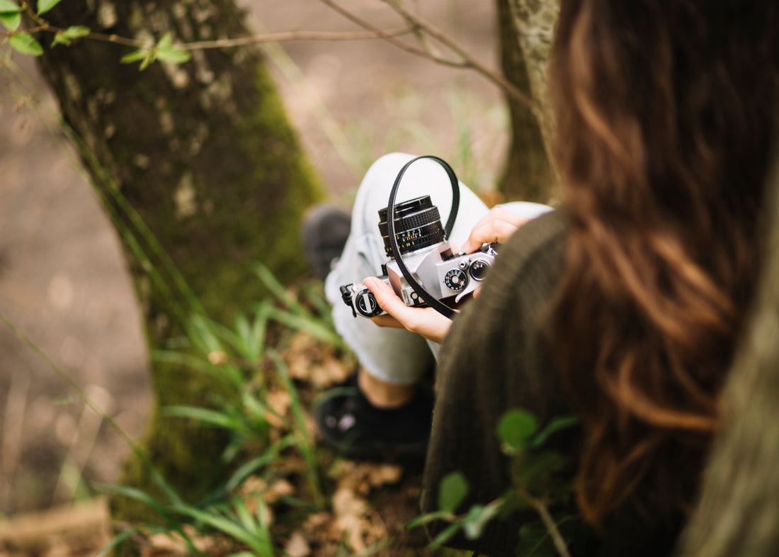 Fundamentos de la fotografía de vida silvestre 